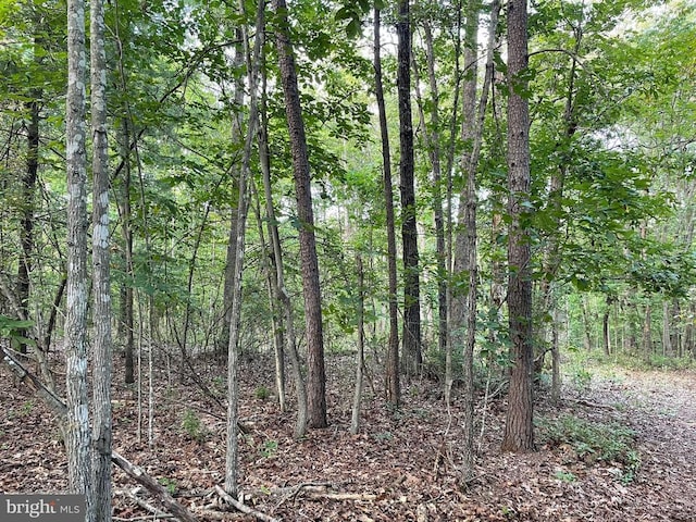 view of wooded area