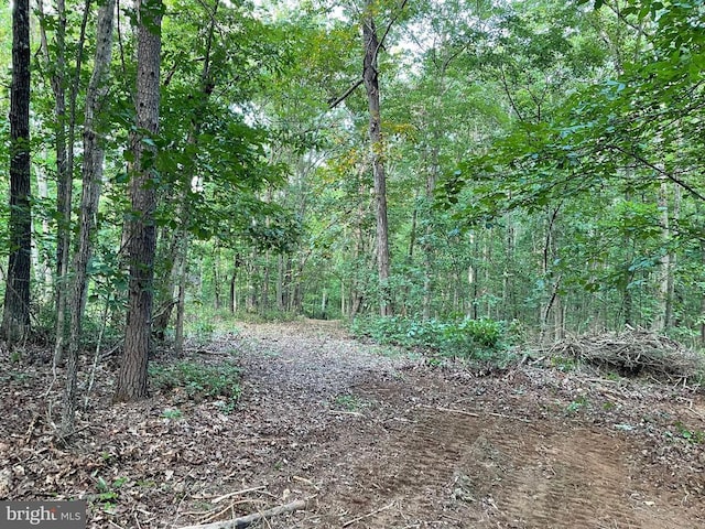 view of tree filled area