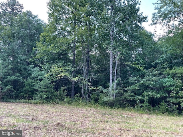 view of woods