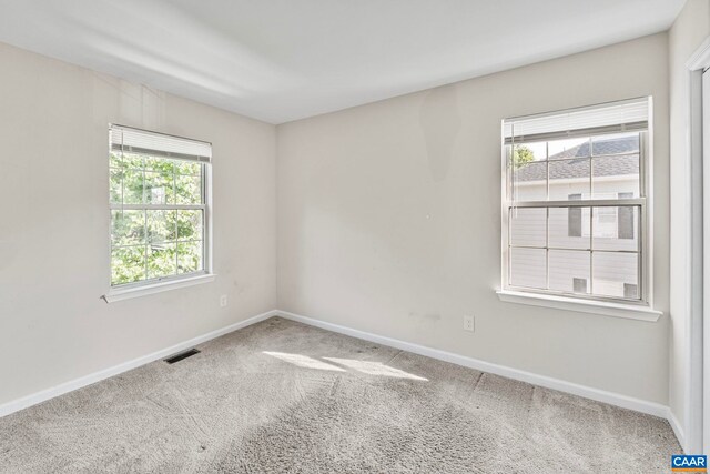 4753 Wren Ct, Charlottesville, VA 22911 - photo 20