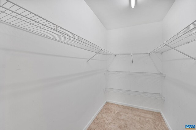 4753 Wren Ct, Charlottesville, VA 22911 - photo 16