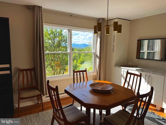 103 Castleton Ford Rd, Castleton, VA 22716 - dining area with wood finished floors and plenty of natural light