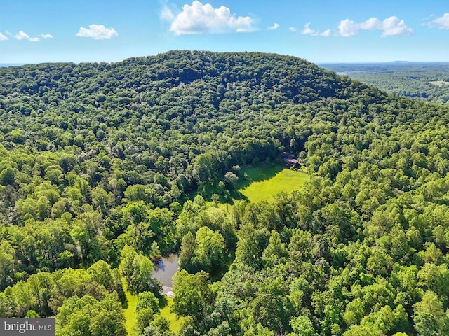 103 Castleton Ford Rd, Castleton, VA 22716 - drone / aerial view of a forest