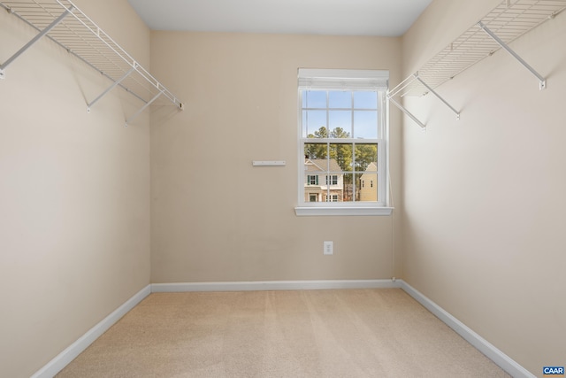 spacious closet with carpet