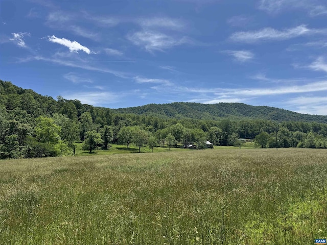 91 Kidd Ln, Roseland, VA 22967