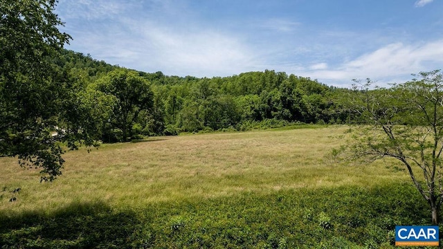 91 Kidd Ln, Roseland, VA 22967