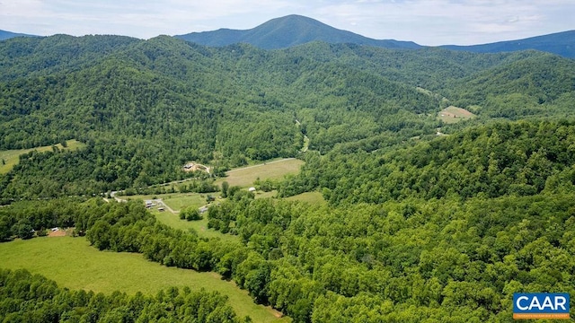 91 Kidd Ln, Roseland, VA 22967