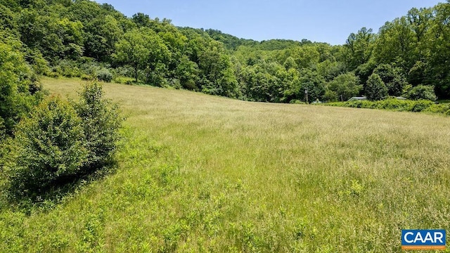 91 Kidd Ln, Roseland, VA 22967