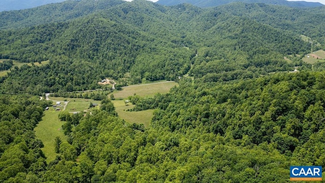 91 Kidd Ln, Roseland, VA 22967