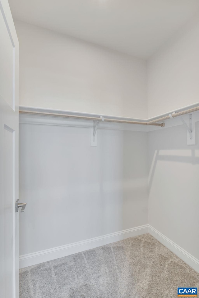 403 Bayberry Ln, Zion Crossroads, VA 22942 - walk in closet with carpet