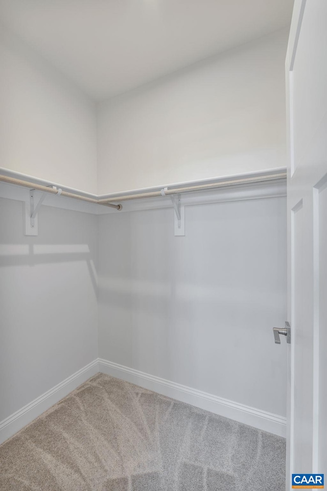 403 Bayberry Ln, Zion Crossroads, VA 22942 - walk in closet featuring carpet flooring