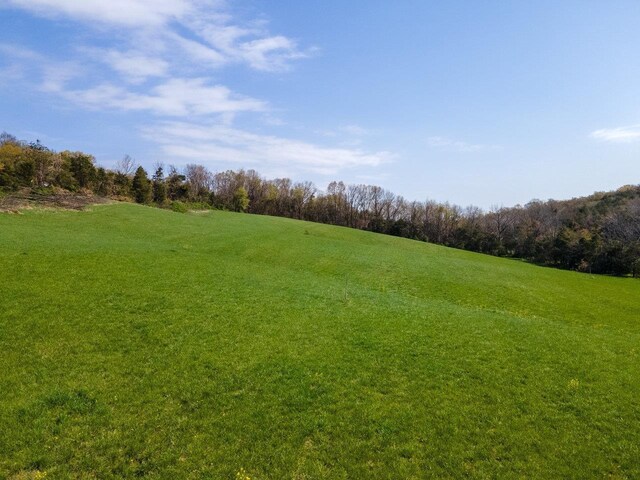 TBD Wengers Mill Rd, Linville, VA 22834 - photo 15