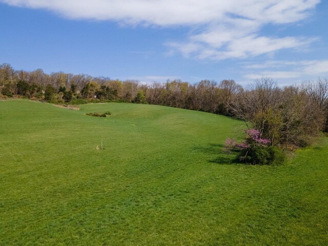 TBD Wengers Mill Rd, Linville, VA 22834 - photo 14
