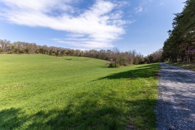 TBD Wengers Mill Rd, Linville, VA 22834 - photo 9