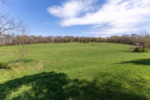 TBD Wengers Mill Rd, Linville, VA 22834 - photo 8