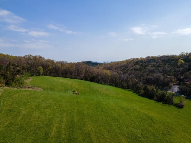 TBD Wengers Mill Rd, Linville, VA 22834 - photo 12