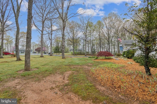 7408 Ryan Ct, Reva, VA 22735 - view of grassy yard