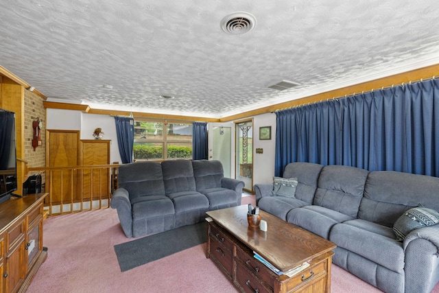 708 Woodside Ln, Waynesboro, VA 22980 - living area featuring light carpet and a textured ceiling