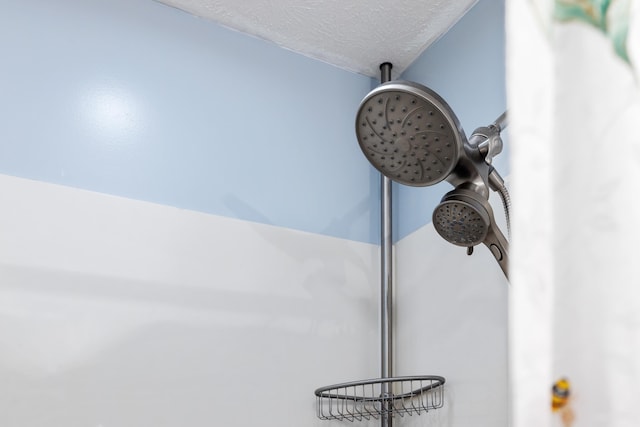 708 Woodside Ln, Waynesboro, VA 22980 - bathroom view of a textured ceiling