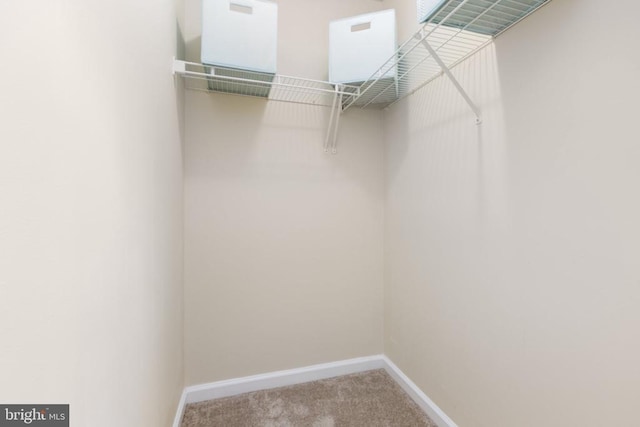 2912 Broyhill Ct, Fredericksburg, VA 22408 - spacious closet with carpet flooring