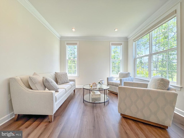 8525 Laroque Run Dr, Fredericksburg, VA 22407 - living area featuring baseboards, wood finished floors, and crown molding