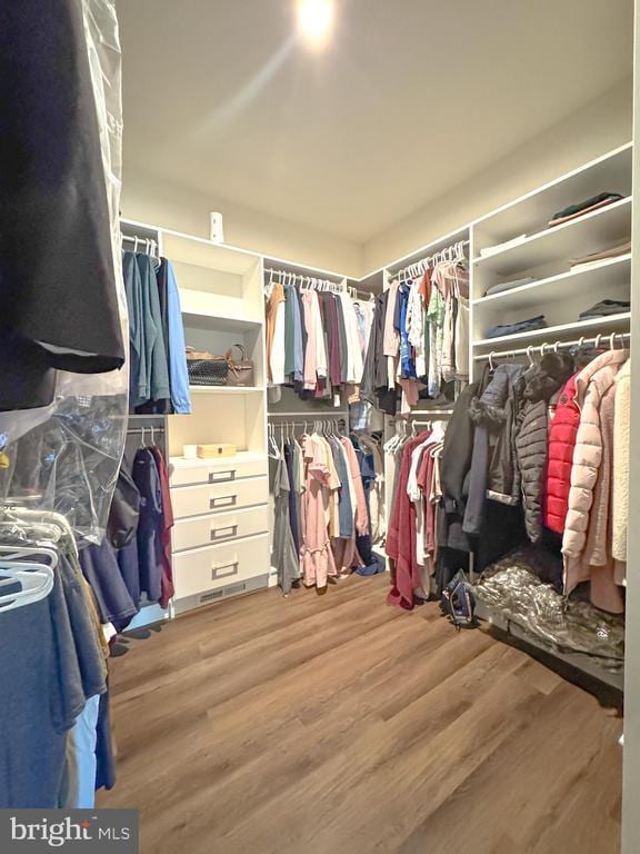 8525 Laroque Run Dr, Fredericksburg, VA 22407 - walk in closet featuring wood finished floors