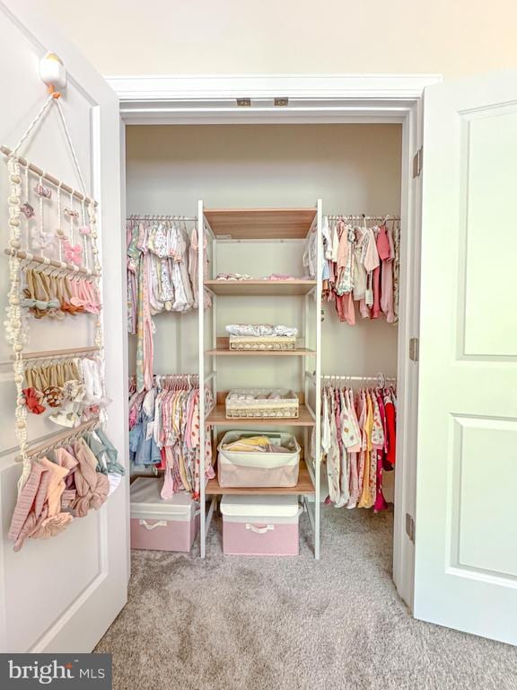 8525 Laroque Run Dr, Fredericksburg, VA 22407 - view of closet