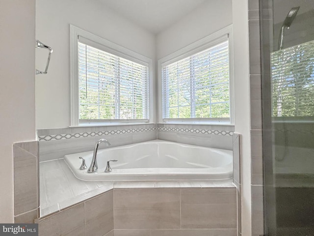 8525 Laroque Run Dr, Fredericksburg, VA 22407 - full bathroom with plenty of natural light, a garden tub, and a shower with shower door