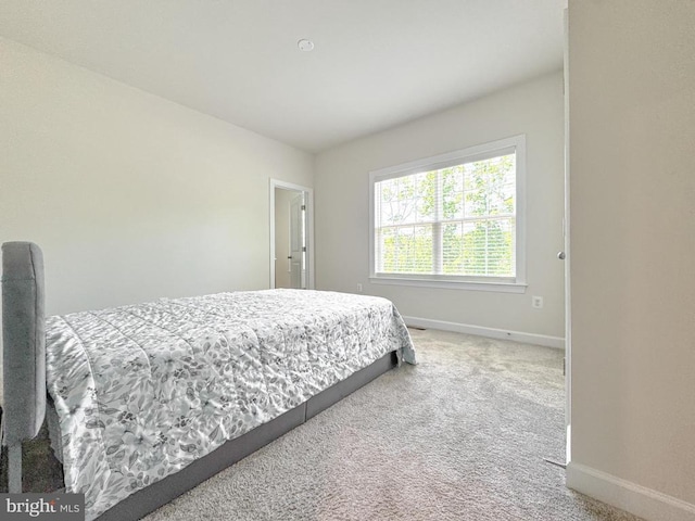 8525 Laroque Run Dr, Fredericksburg, VA 22407 - bedroom featuring baseboards and carpet flooring