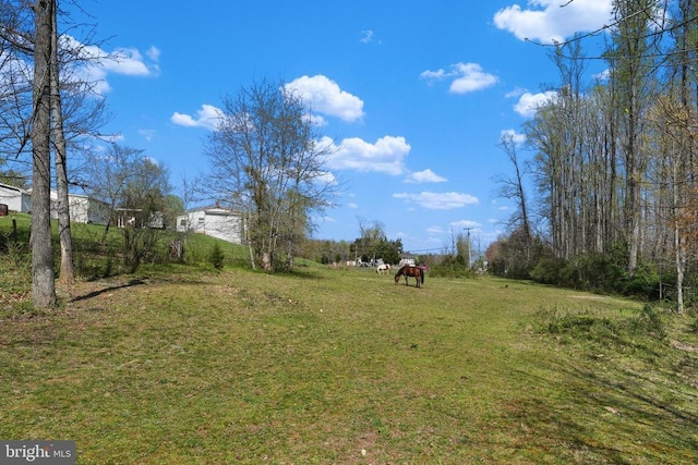 view of green lawn