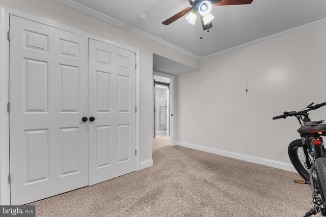 exercise area with carpet, a ceiling fan, baseboards, and crown molding