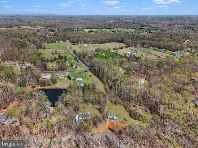 aerial overview of property's location with a forest and a large body of water