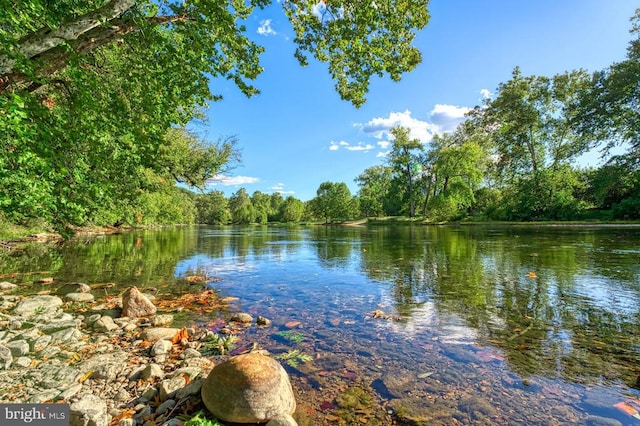 315 Ganders Dr, Luray, VA 22835 - view of water feature featuring a forest view