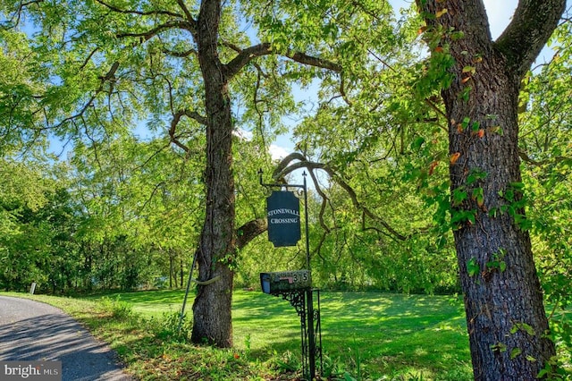 315 Ganders Dr, Luray, VA 22835 - view of community featuring a lawn