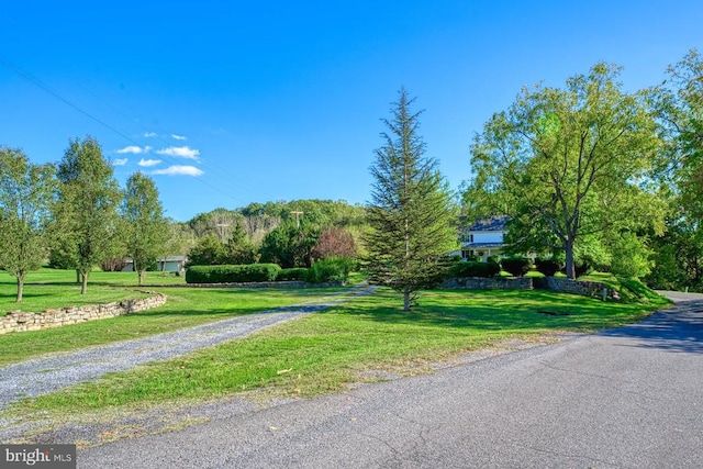315 Ganders Dr, Luray, VA 22835 - view of street
