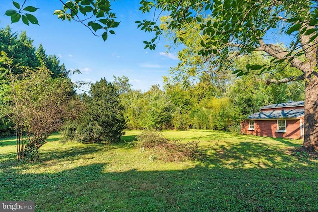 133 Fairview Rd W, Culpeper, VA 22701 - photo 47