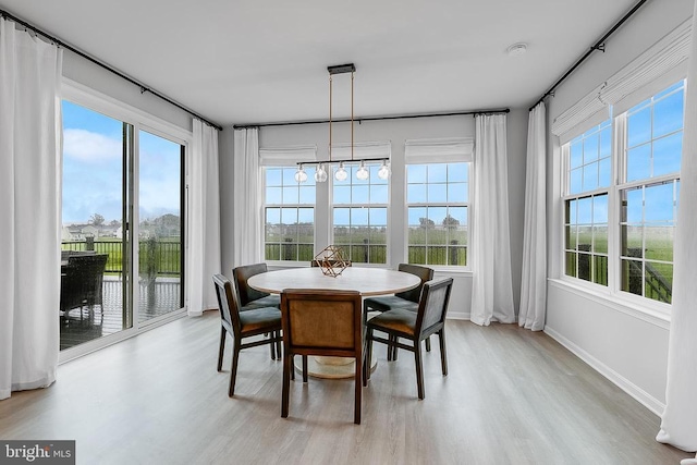 10115 Premier St, Fredericksburg, VA 22408 - dining room featuring healthy amount of natural light, light wood-style flooring, and baseboards