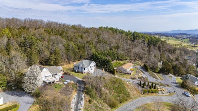 173 Valley View Ave, Mount Sidney, VA 24467 - view of property location with a heavily wooded area