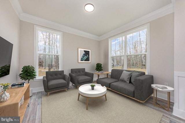 living area featuring crown molding and wood finished floors