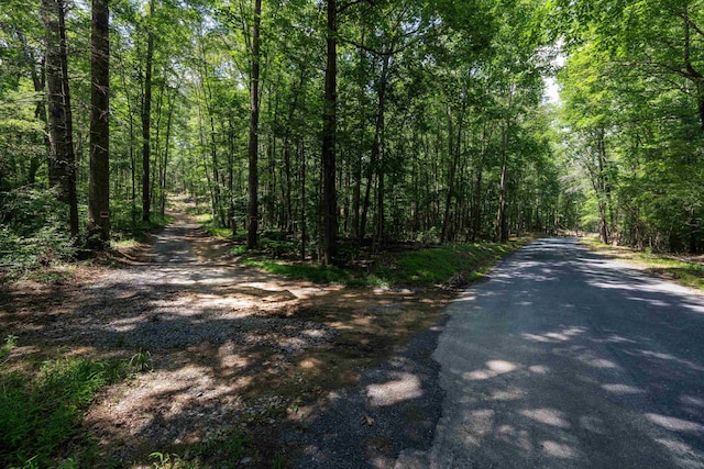 TBD Stribling Springs Rd, Mount Solon, VA 22843