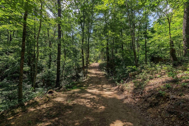 TBD Stribling Springs Rd, Mount Solon, VA 22843