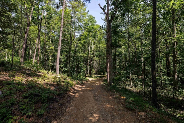 TBD Stribling Springs Rd, Mount Solon, VA 22843