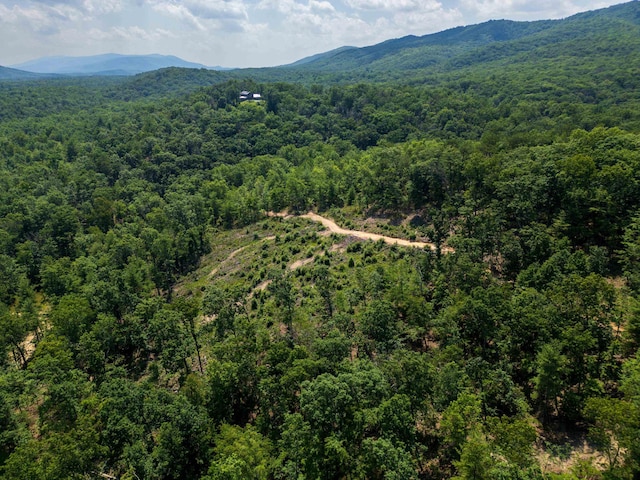 TBD Stribling Springs Rd, Mount Solon, VA 22843