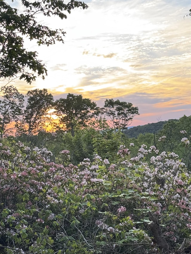 TBD Stribling Springs Rd, Mount Solon, VA 22843