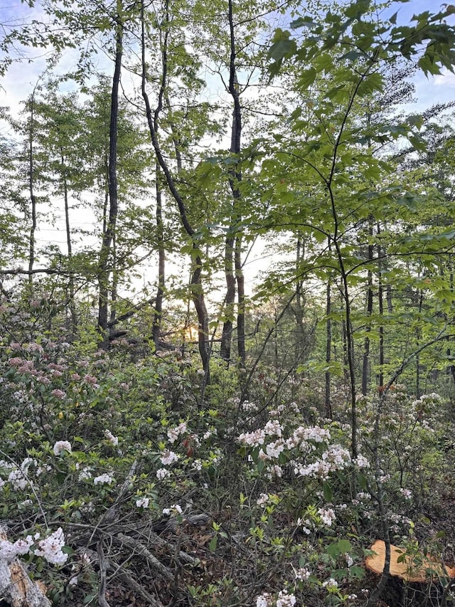 TBD Stribling Springs Rd, Mount Solon, VA 22843