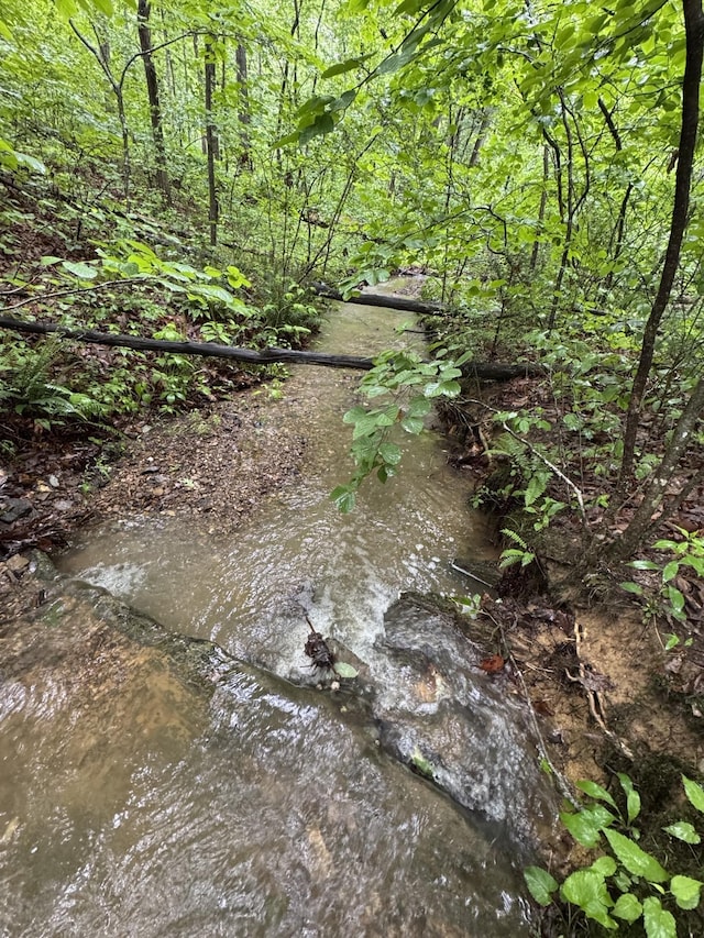 TBD Stribling Springs Rd, Mount Solon, VA 22843