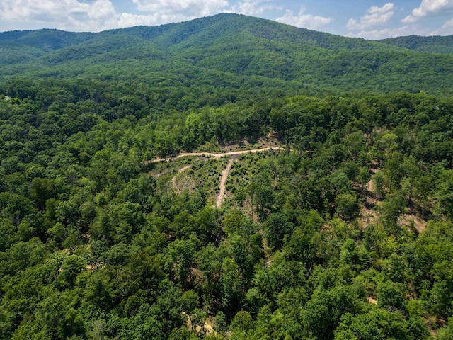 TBD Stribling Springs Rd, Mount Solon, VA 22843