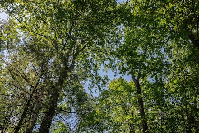 TBD Stribling Springs Rd, Mount Solon, VA 22843