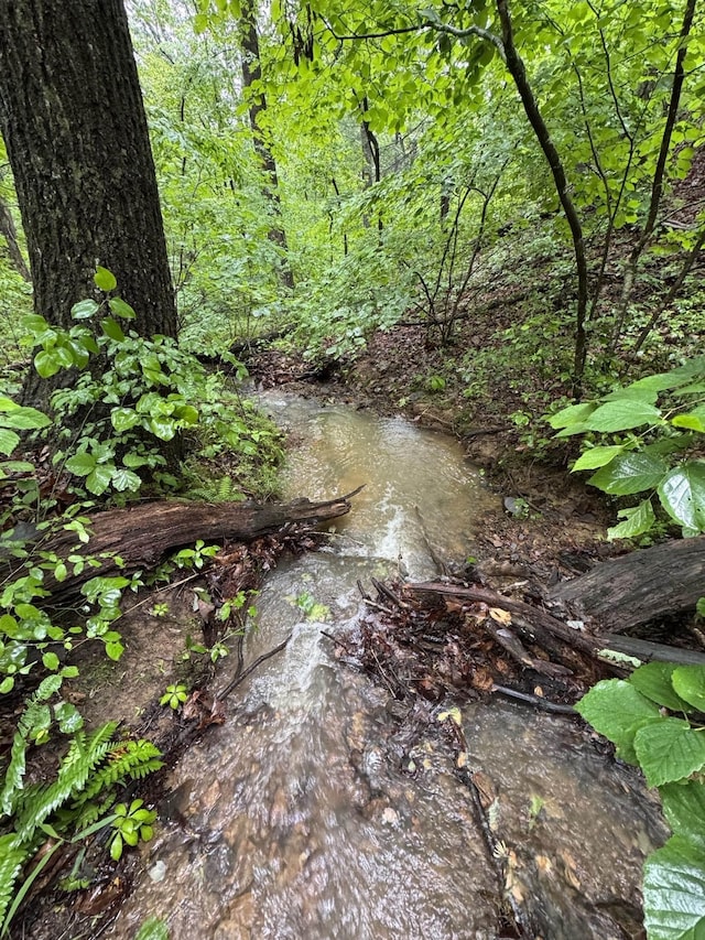 TBD Stribling Springs Rd, Mount Solon, VA 22843