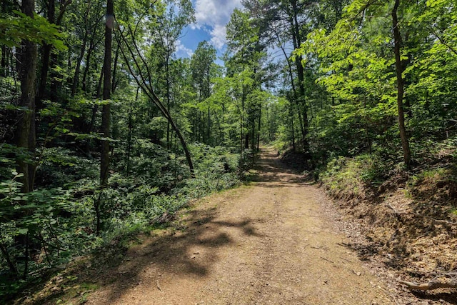 TBD Stribling Springs Rd, Mount Solon, VA 22843